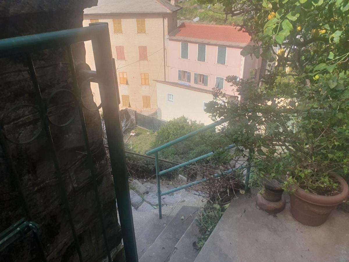 Monterosso Apartments In Servano'S Villas Monterosso al Mare Eksteriør billede