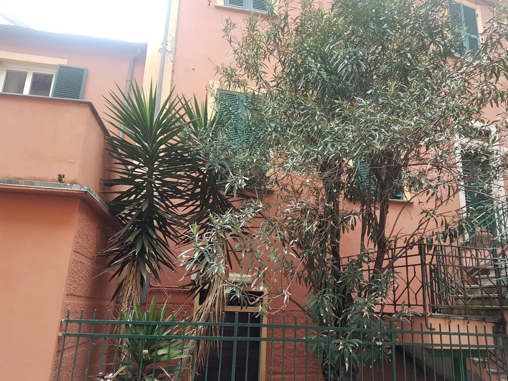 Monterosso Apartments In Servano'S Villas Monterosso al Mare Eksteriør billede